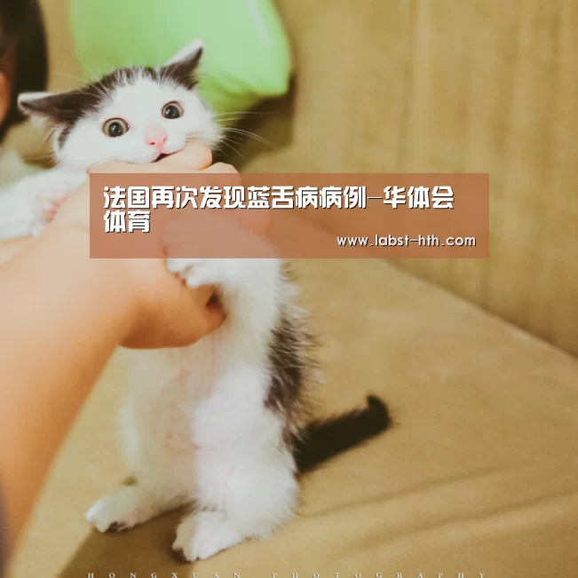 法国再次发现蓝舌病病例-华体会体育(图2) 华体会网站