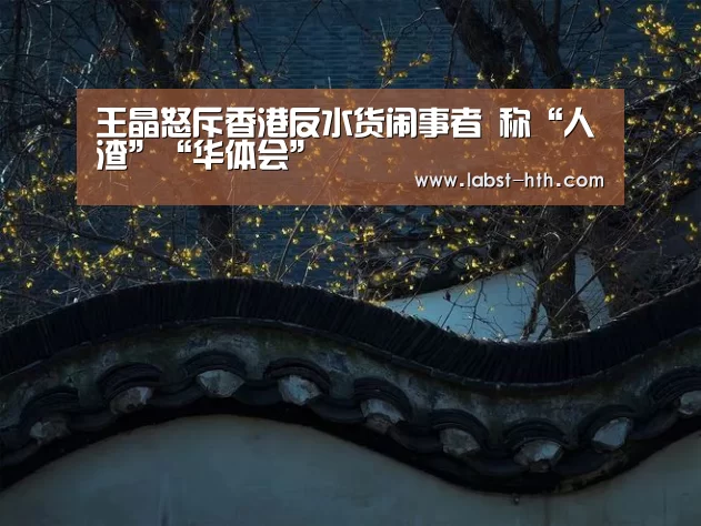 王晶怒斥香港反水货闹事者 称“人渣”“华体会”(图1) 华体会官方