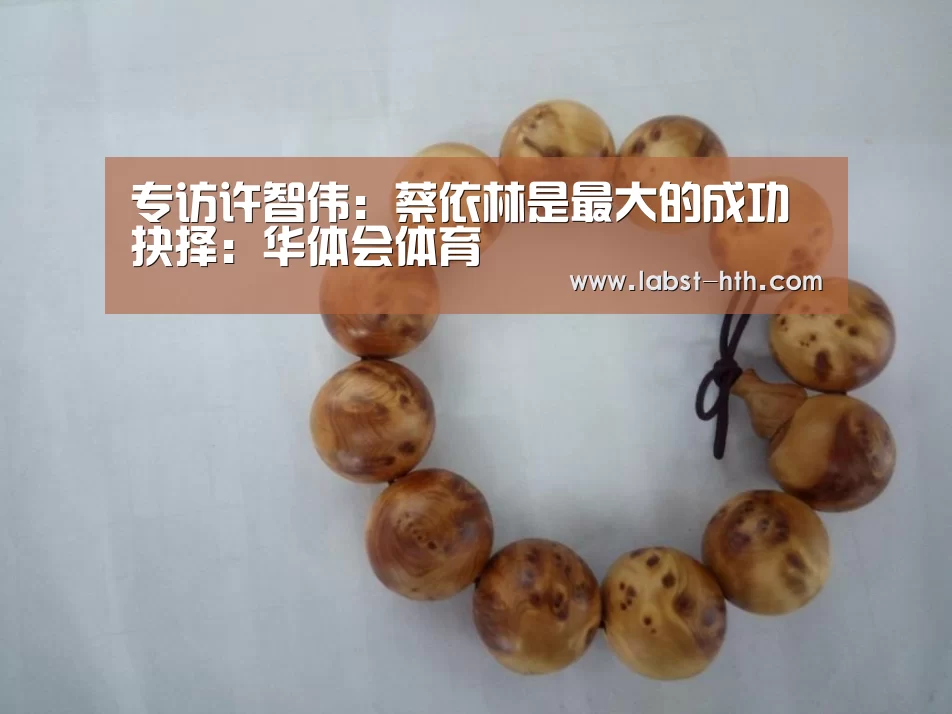 专访许智伟:蔡依林是最大的成功抉择:华体会体育(图1) 华体会官方