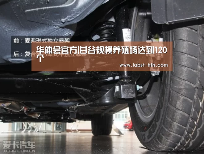 华体会官方|甘谷规模养殖场达到120个(图2) 华体会