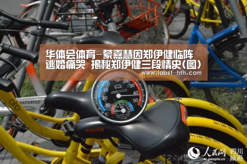 华体会体育-蒙嘉慧因郑伊健临阵逃婚痛哭 揭秘郑伊健三段情史(图)(图1) 华体会