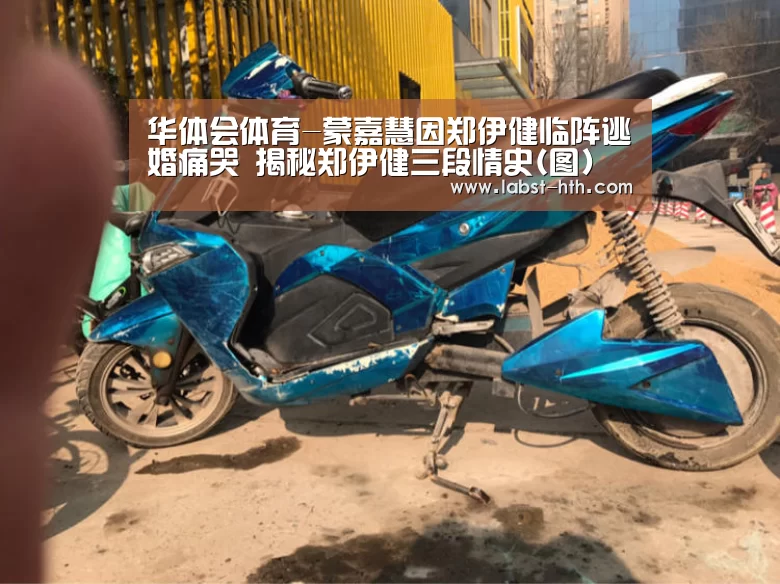 华体会体育-蒙嘉慧因郑伊健临阵逃婚痛哭 揭秘郑伊健三段情史(图)(图2) 华体会