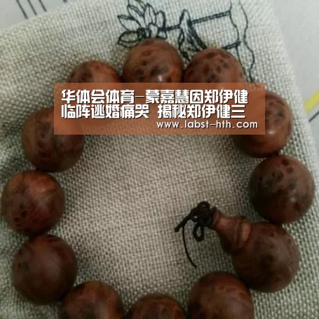 华体会体育-蒙嘉慧因郑伊健临阵逃婚痛哭 揭秘郑伊健三段情史(图)(图3) 华体会