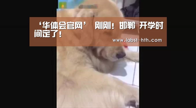 华体会