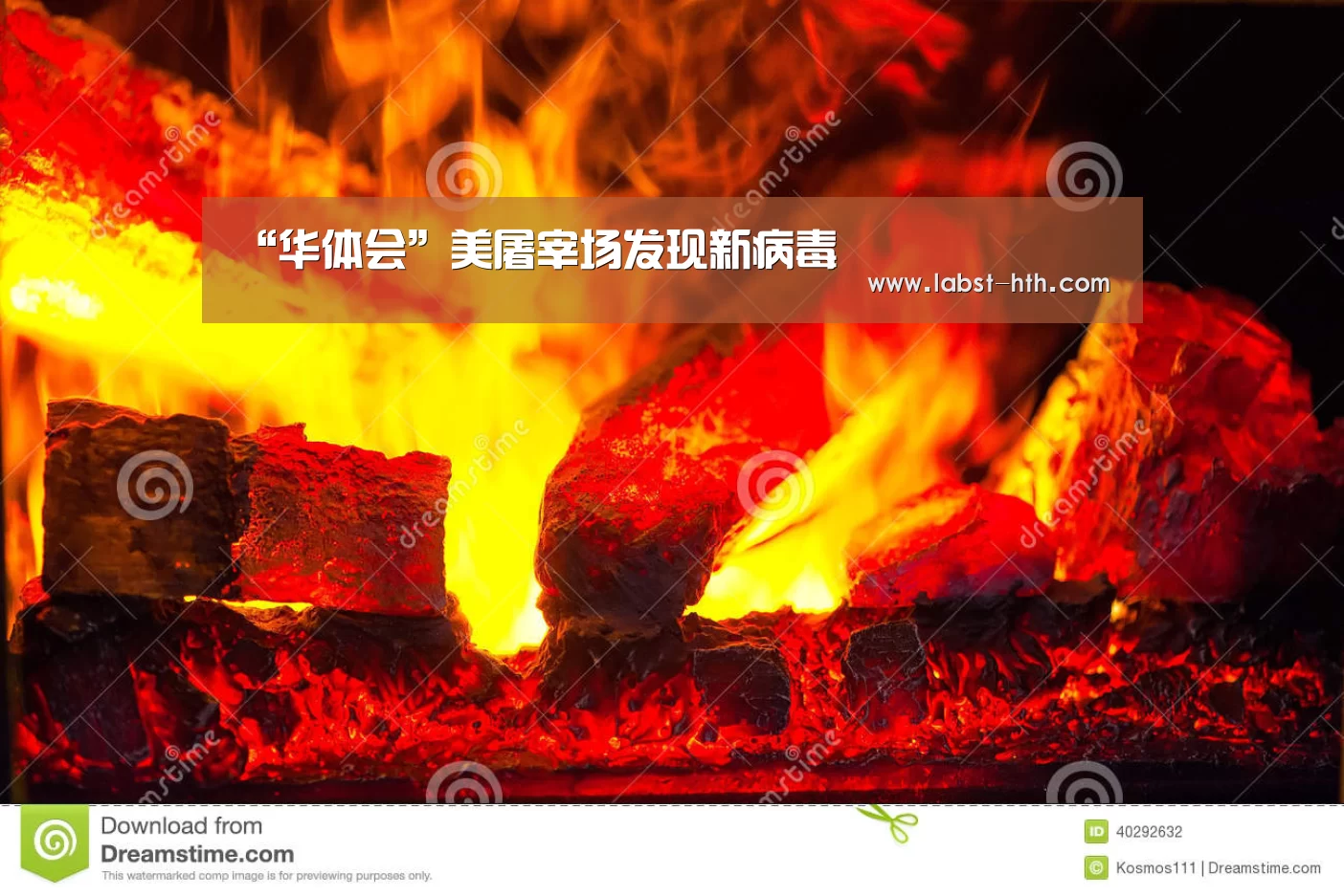 华体会官网