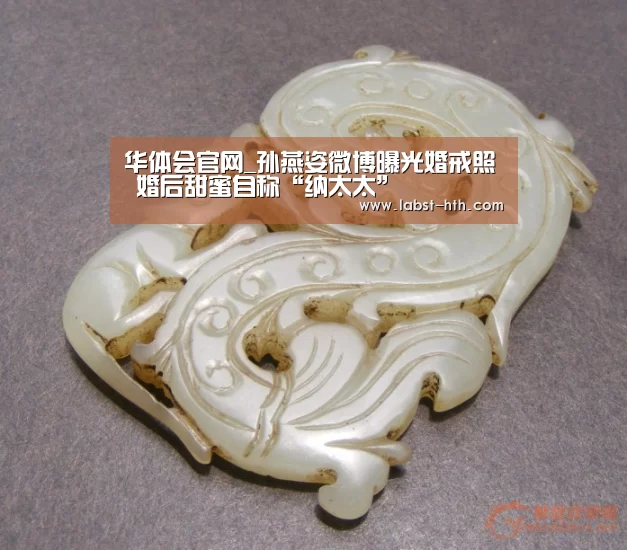 华体会官网_孙燕姿微博曝光婚戒照 婚后甜蜜自称“纳太太”(图3) 华体会